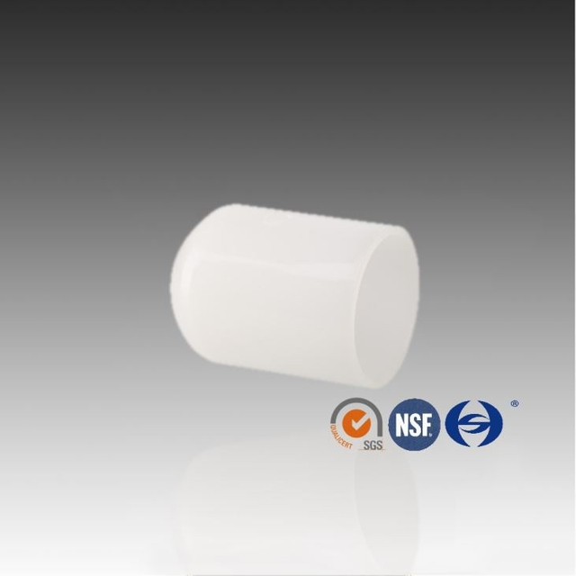 Mông Fusion PVDF kết thúc Cap